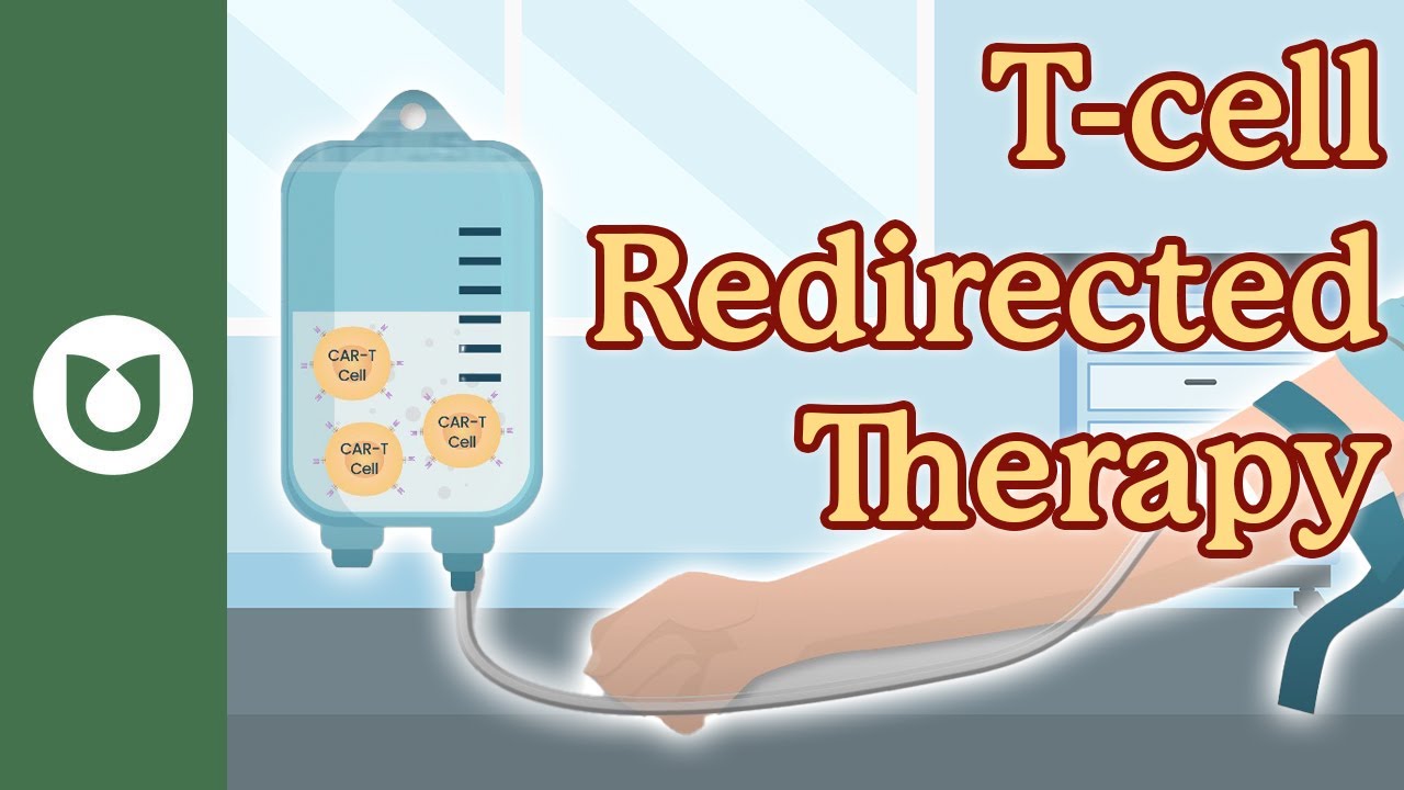 What Are T-Cell Redirecting Therapies? A Simple Guide for Multiple Myeloma Patients 