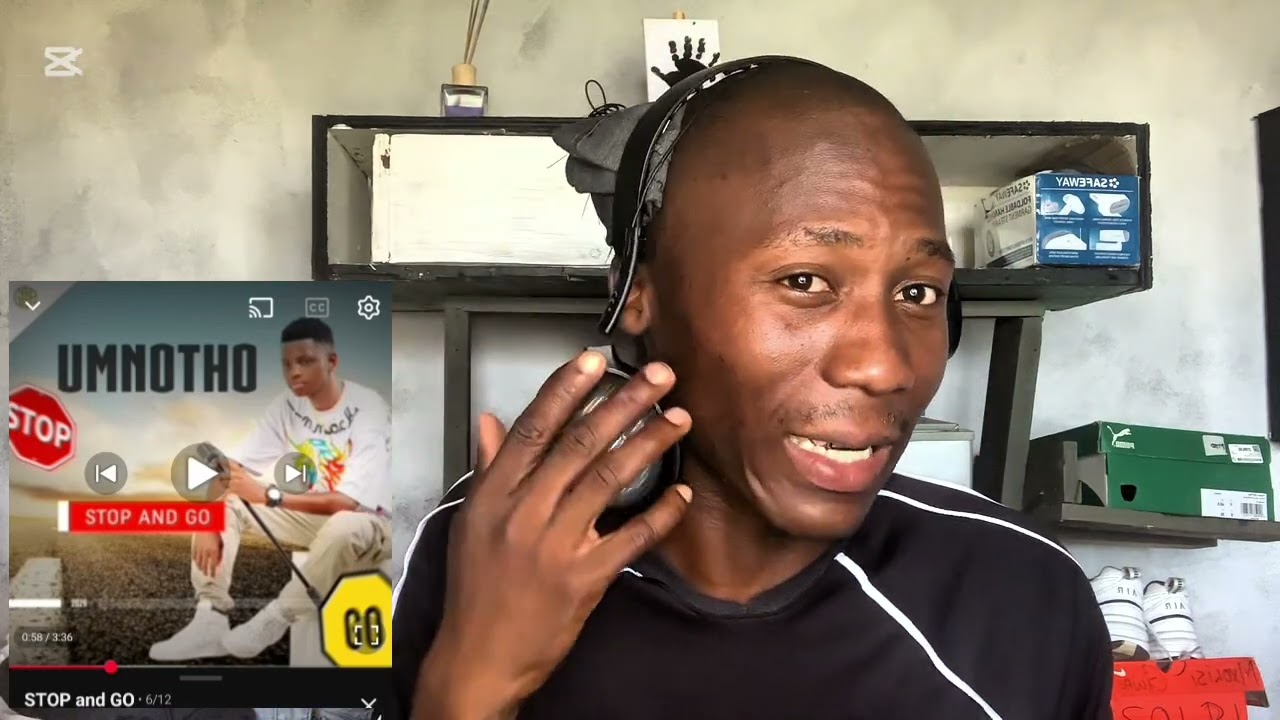 Mnotho-Stop and go |REACTION |