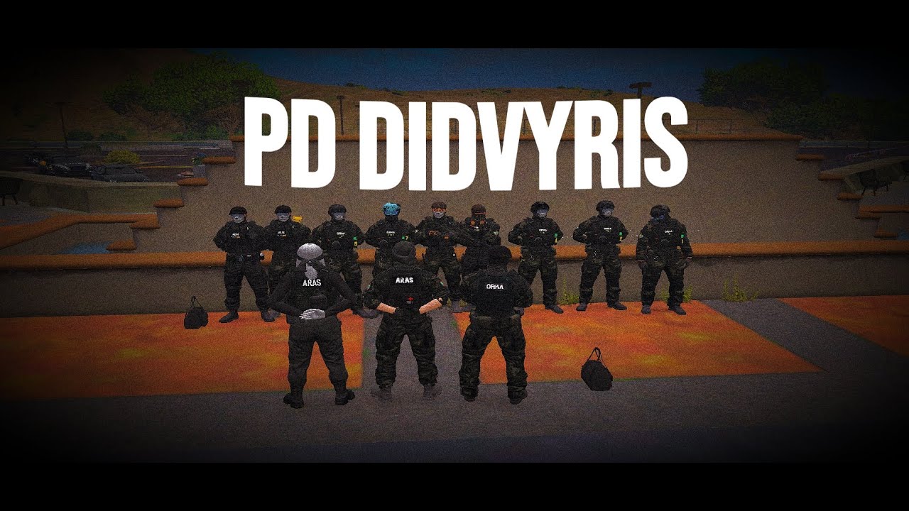 PD DIDVYRIS | ElariaRP