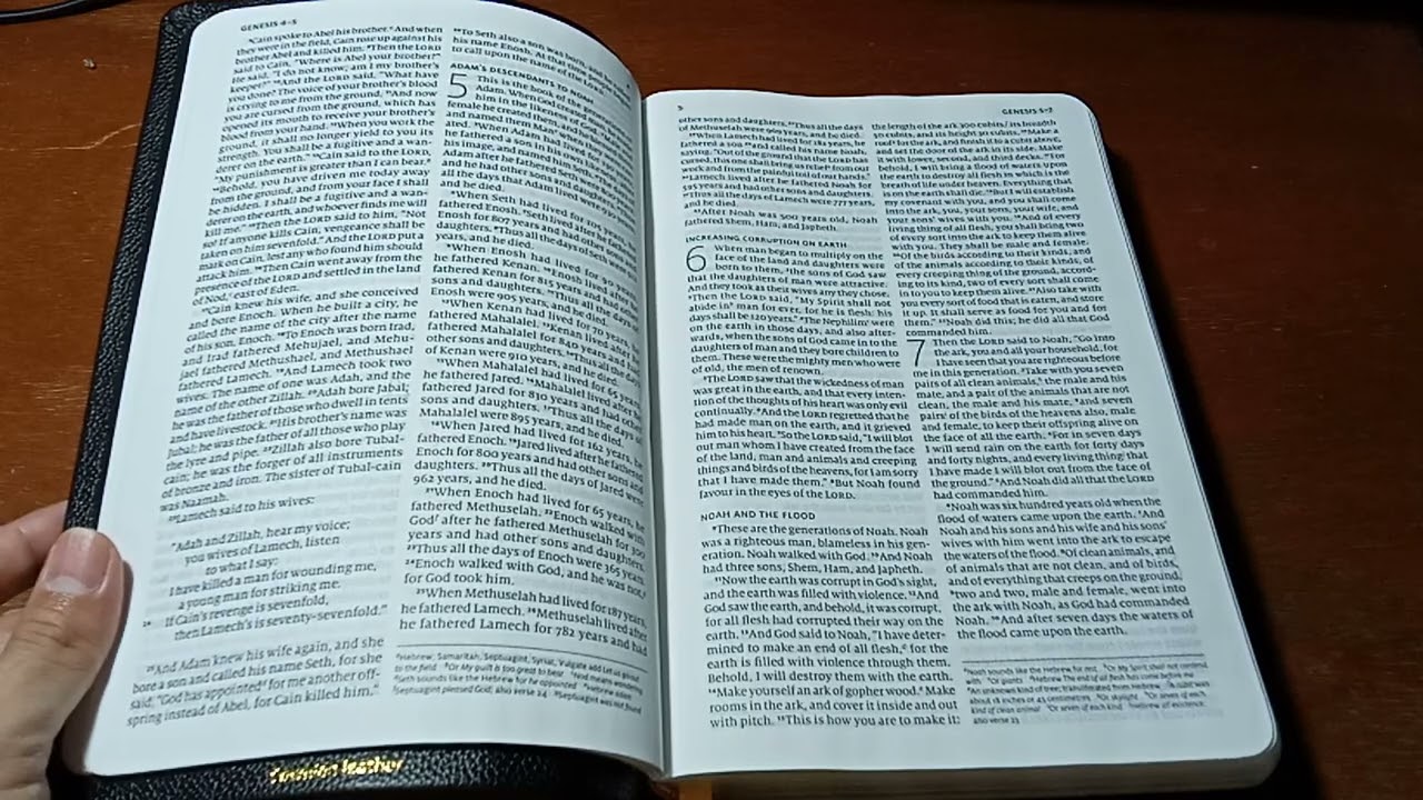 English Standard Version Catholic Edition (ESV-CE) CORNERSTONE EDITION by Cambridge Publishing