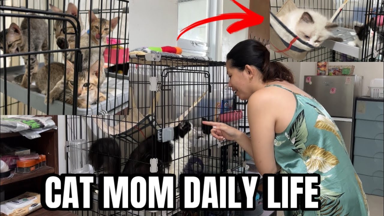 A DAY IN OUR LIFE AS A FURMOM | momarenyann
