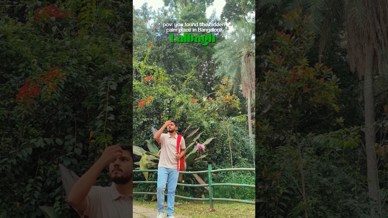 Hidden Calm Place in Bangalore - Lalbagh 🌿 #shorts #bengaluru #minivlog