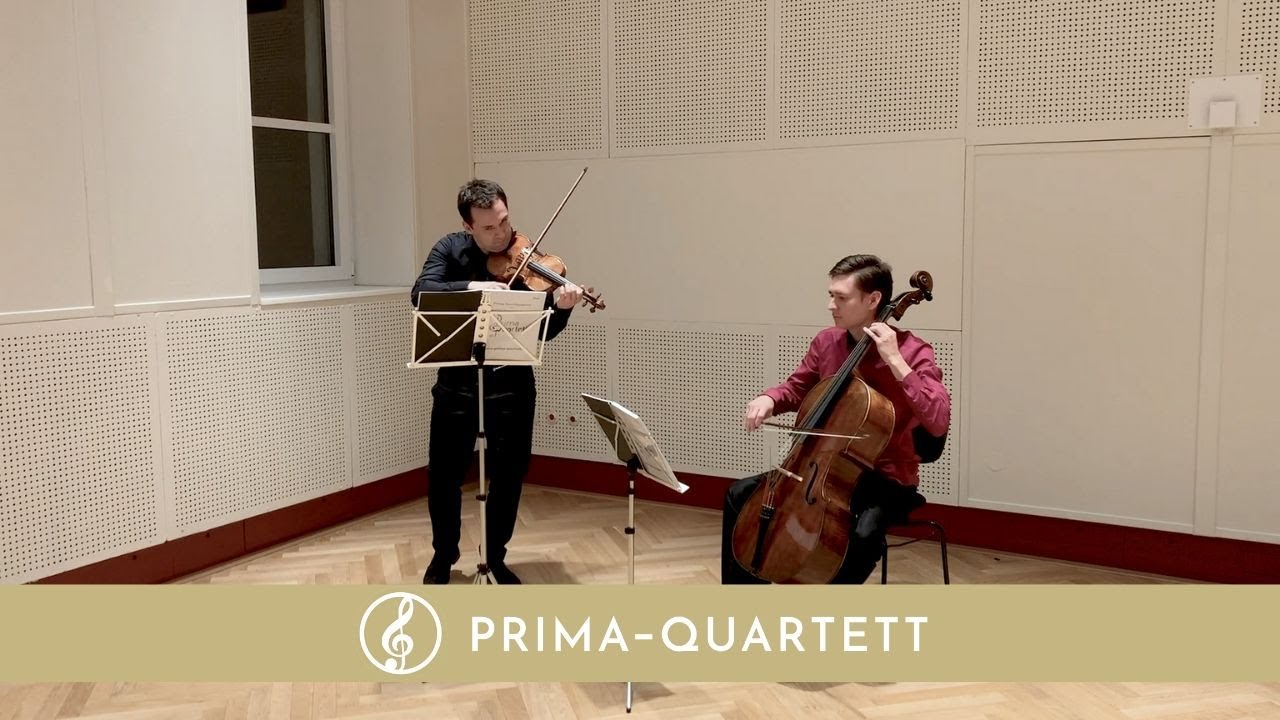 Wonderwall | Oasis | Violine & Cello Duett | {Live}