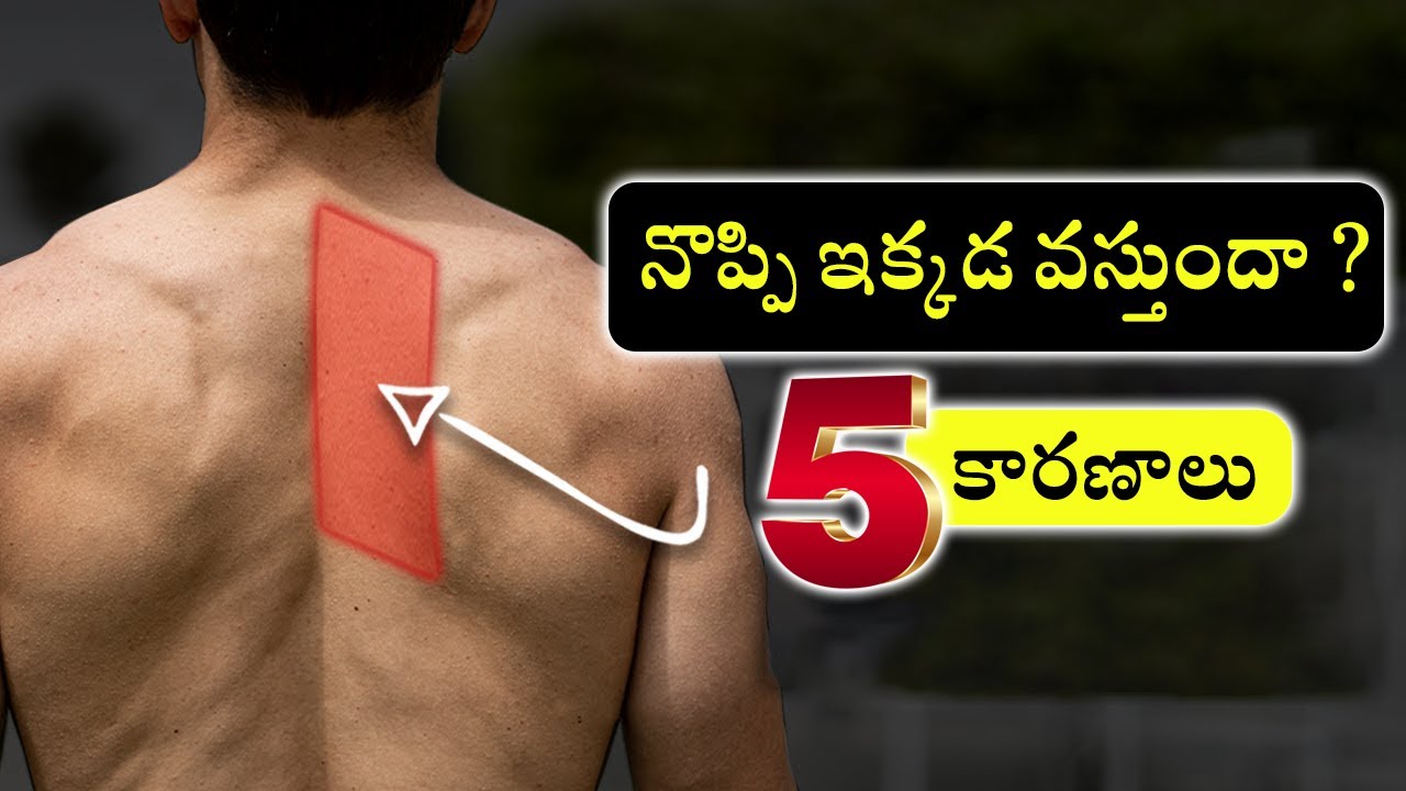 Pain between shoulder blades | Rhomboid pain | Telugu | Dr Ramprasad Kancherla