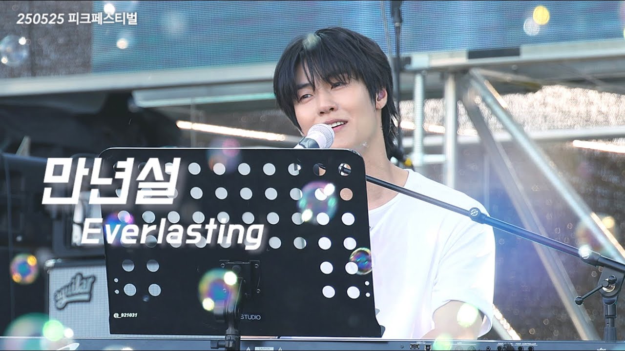 [엔플라잉 이승협] 만년설(Everlasting) (N.Flying seunghyub ) | @피크페스티벌_25.05.25 직캠