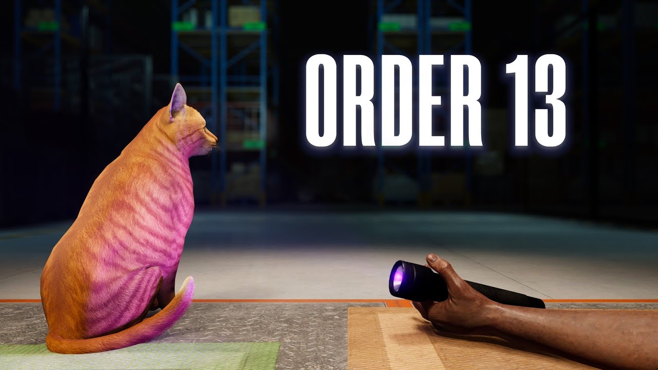 ORDER 13 - Empaquetando pedidos #1 | PS5 Gameplay Español