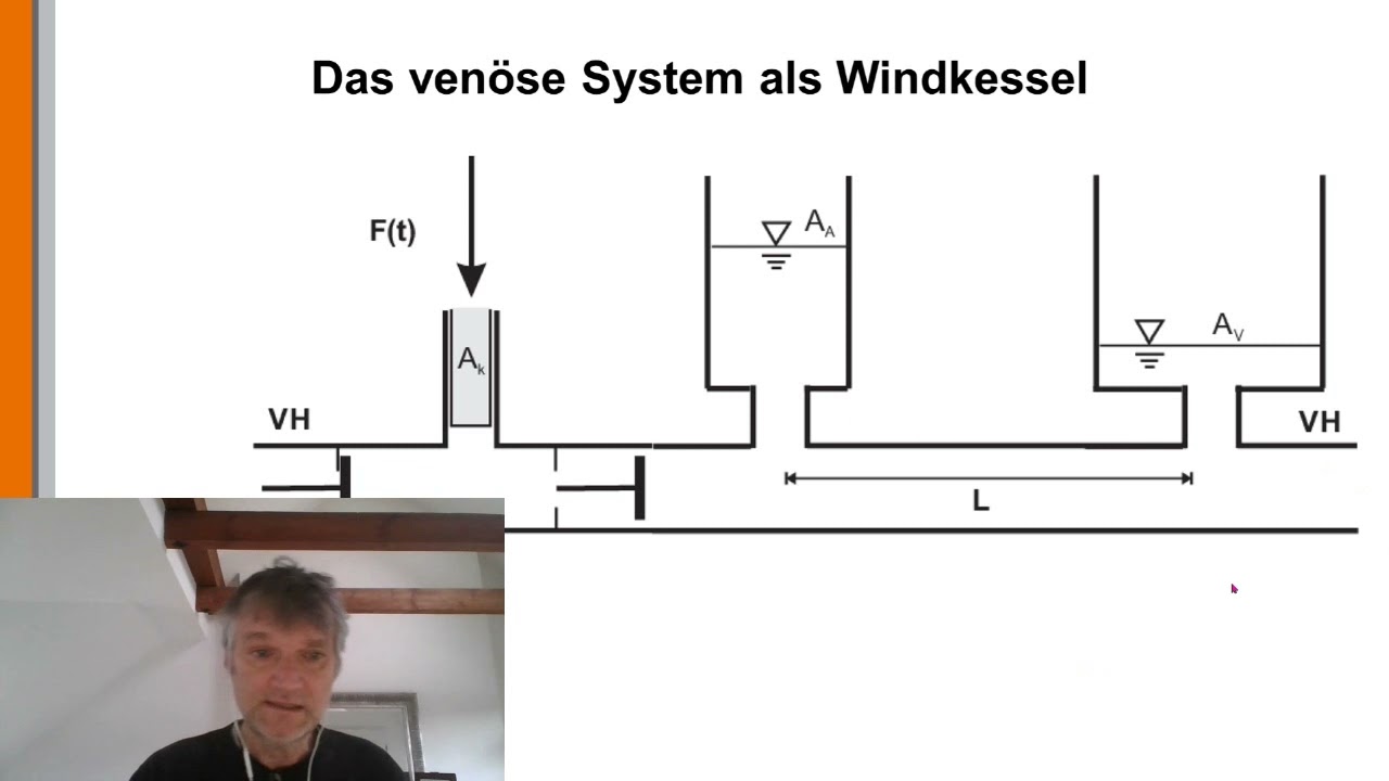 Hydraulik 40: Über die Venen zum geschlossenen Blutkreislauf