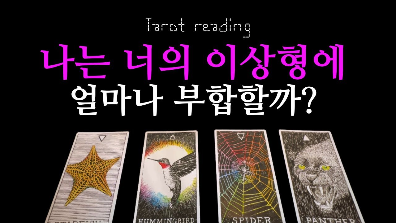 타로- 상대방의 이상형과 연애패턴, 나의 이미지(이별, 재회, 썸, 커플, 짝사랑 열린 리딩/속마음)
