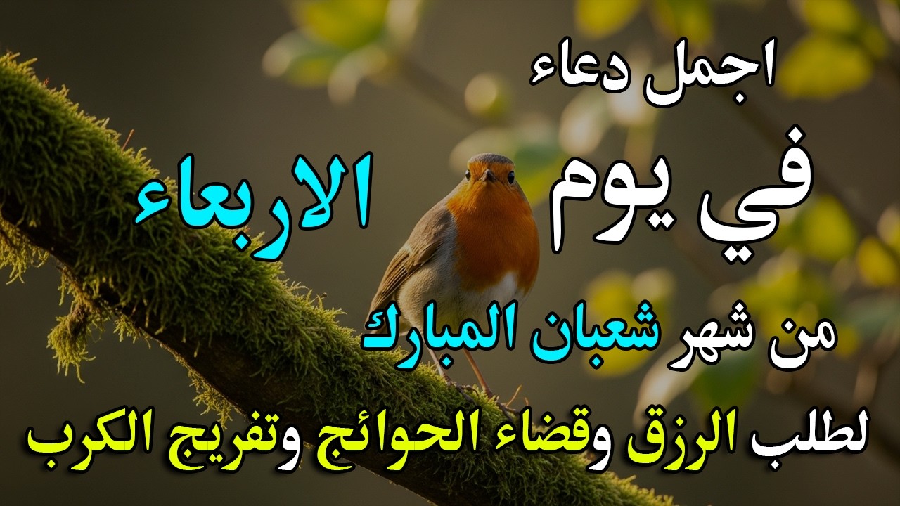 دعاء فى يوم الاحد المستجاب دعاء في يوم 13من شهر شعبان للرزق والشفاء العاجل وقضاء الحوائج 🤲(4k)