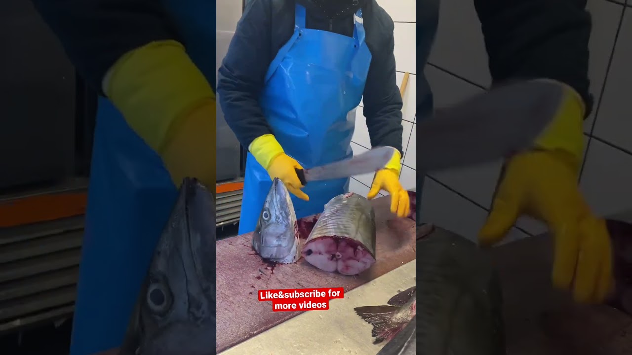 Does this hurt the fish?