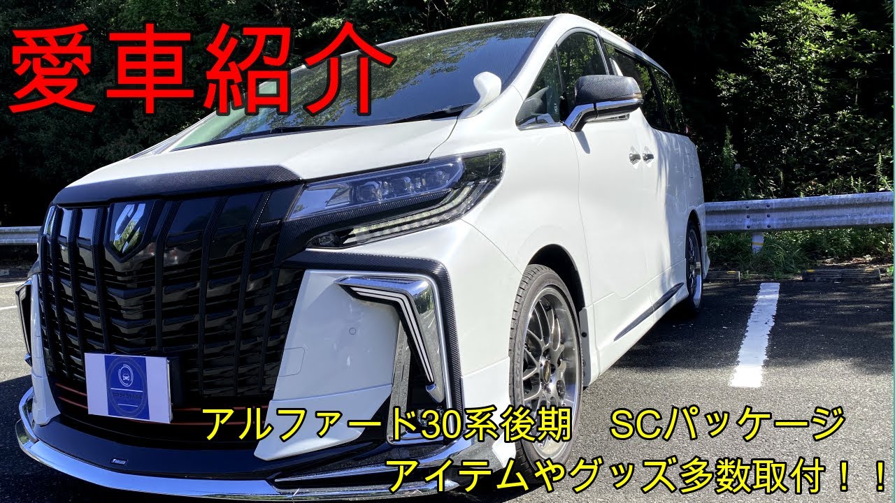 【愛車紹介】アルファード30系後期SCパッケージ　アイテム・パーツ等30以上点取付