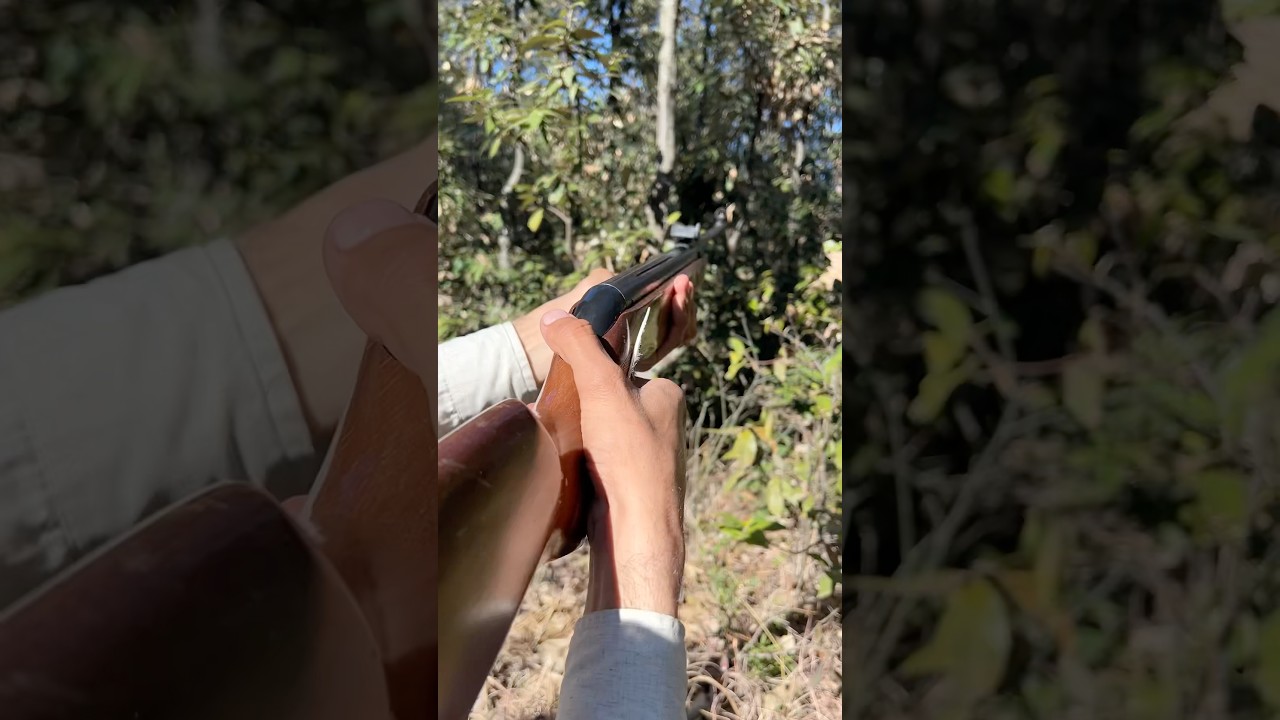 Reloading pellet into air pressure barrel. 