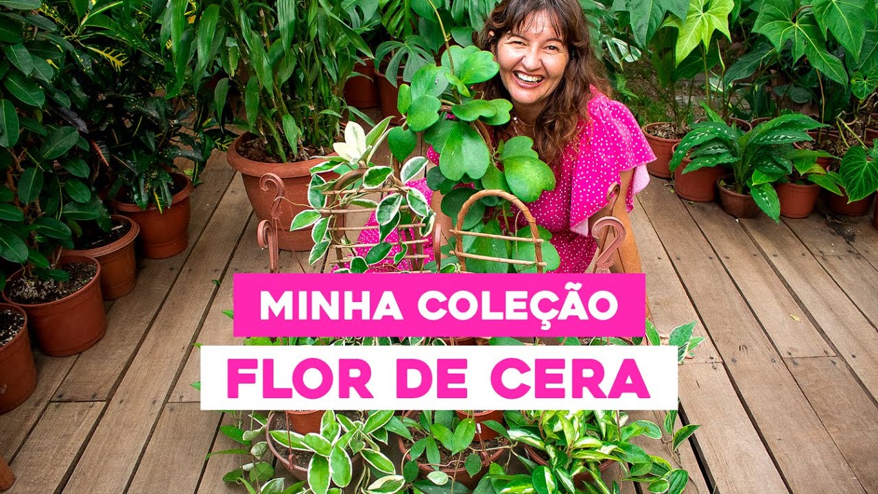 TOUR pela MINHA COLEÇÃO de FLOR DE CERA
