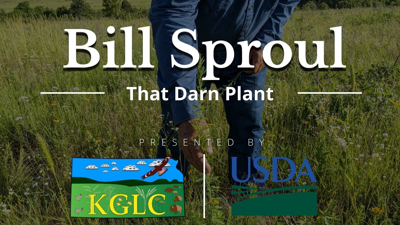 How to Minimize Sericea Lespedeza (Invasive) in the Flint Hills | Kansas Ranching by KGLC & USDA