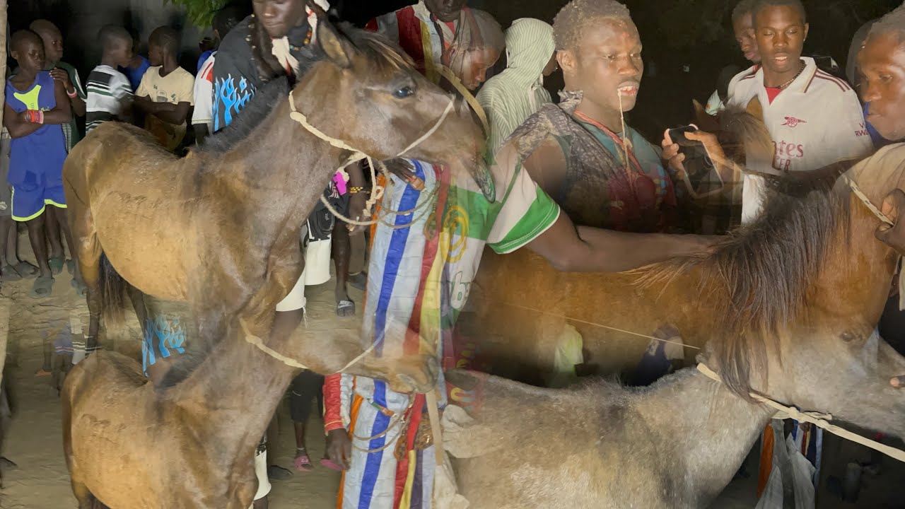 Partages des CHEVAUX 🐎 à Bassoul le 11 janvier 2026