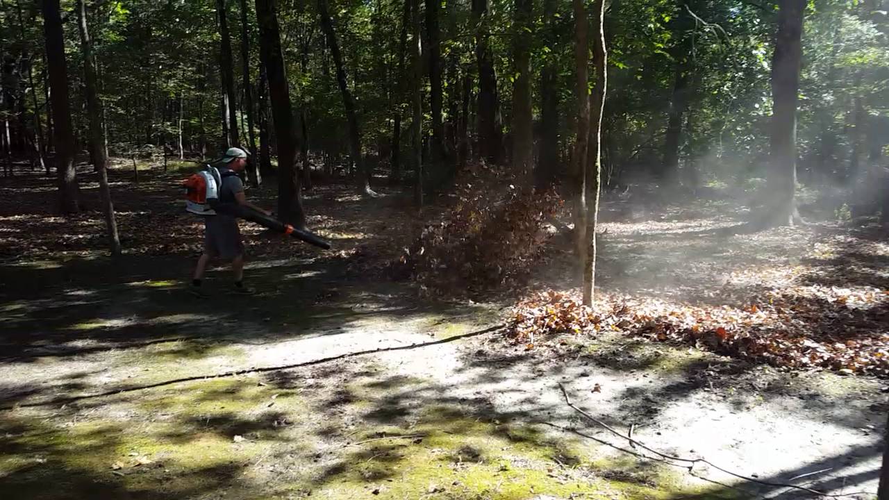 Stihl BR700 Blower