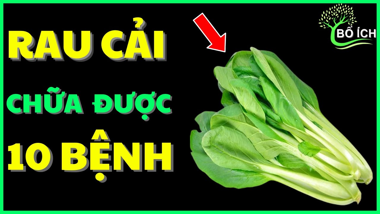 Tin Vui: 10 Lợi &Iacute;ch Của Rau Cải Ngọt Chữa Được 10 Căn Bệnh Thường Gặp Nhất- k&ecirc;nh sức khoẻ bổ &iacute;ch