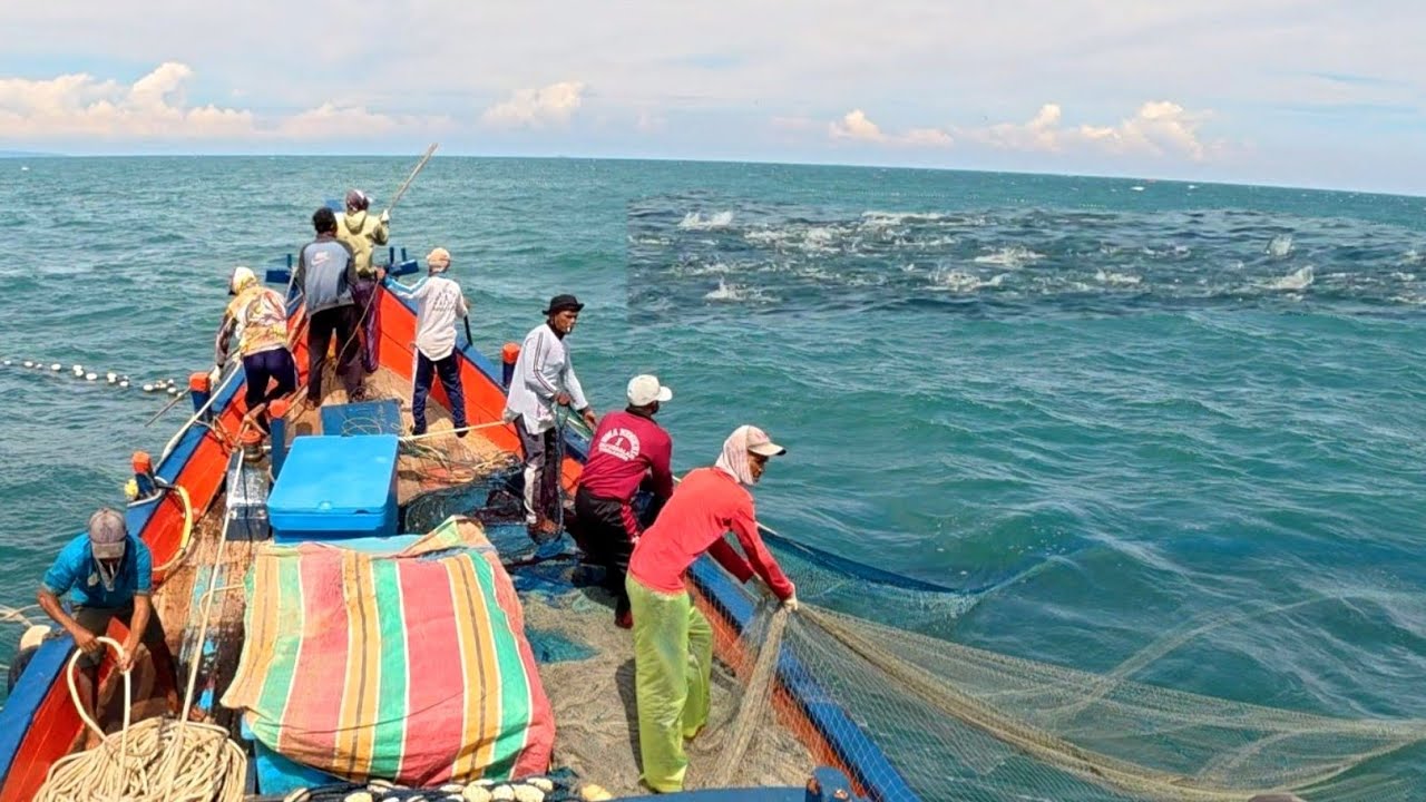 Pukat cincin, Nelayan Indonesia Dapat Banyak Ikan, luar biasa hasil tangkapan nelayan Indonesia