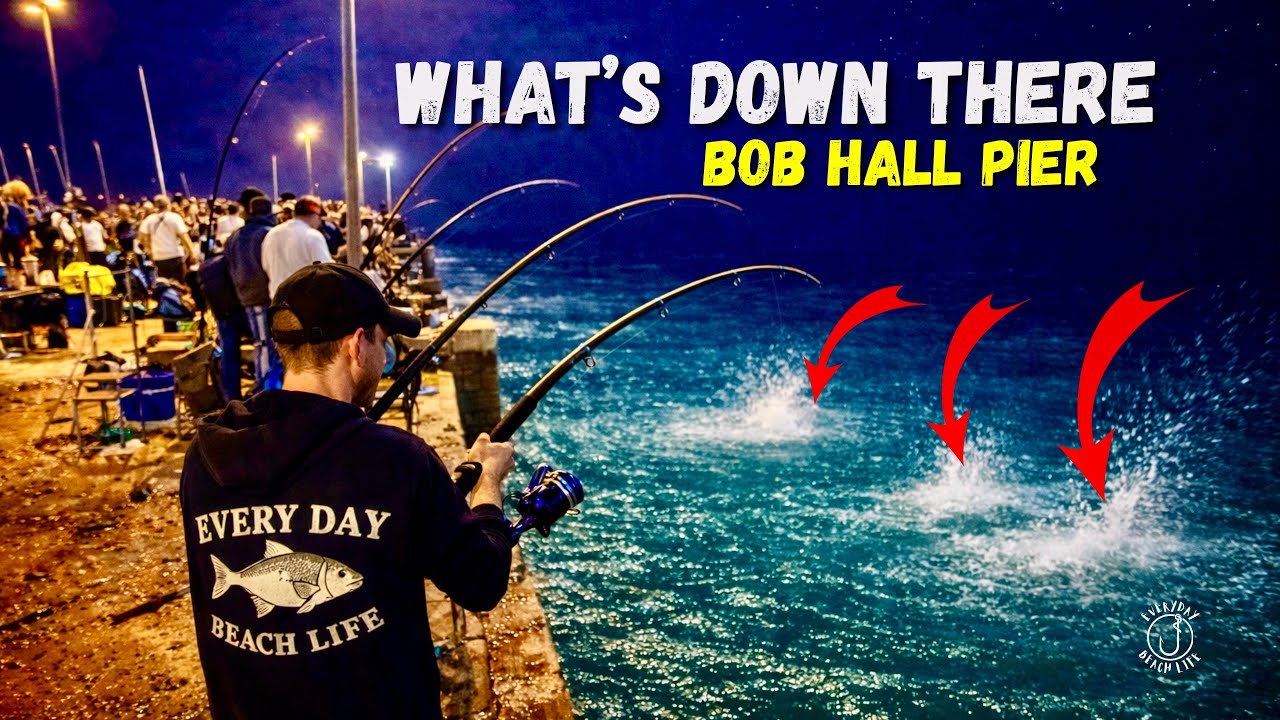 What Happened at Bob Hall Pier Shocked Us&hellip; INSANE Underwater Footage