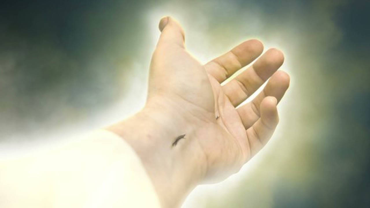 Jesus kommt bald , ein Lied von Andreas Bauer