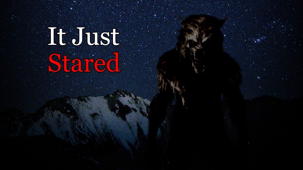 Real Unknown Creature Encounter Stories | #2