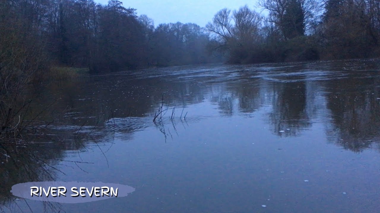 🎣 Fishing the middle Severn and it’s quality over quantity on the fish caught front