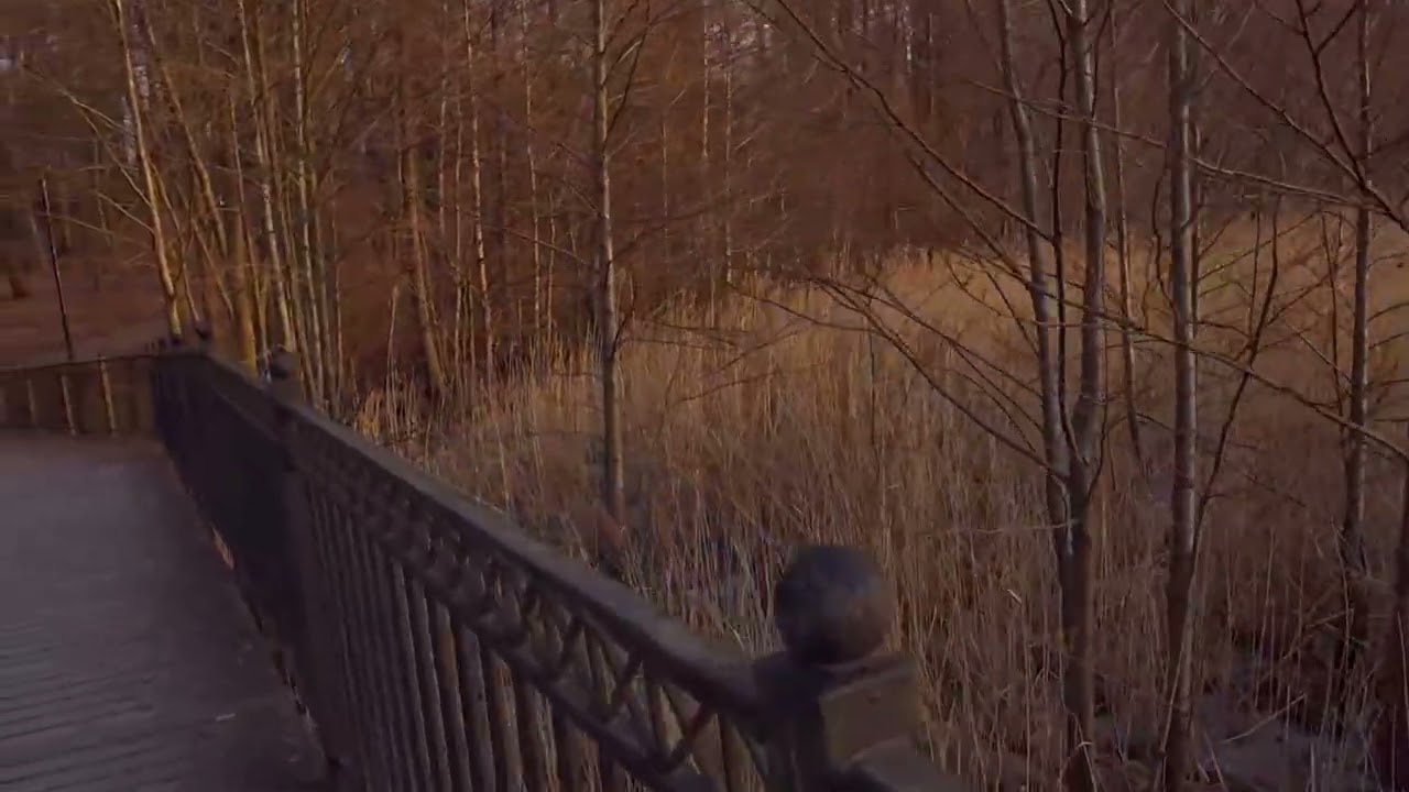 Człuchów park