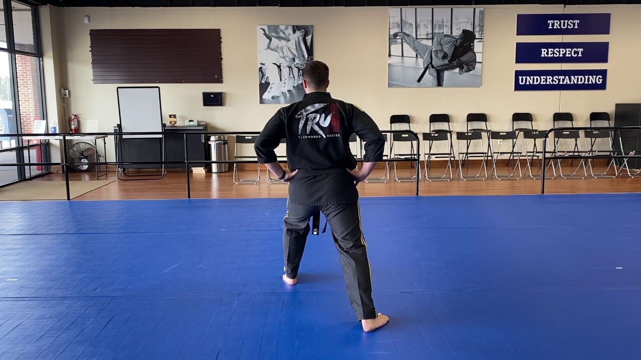 Poomse Tutorial 20 Steps (White Belt)