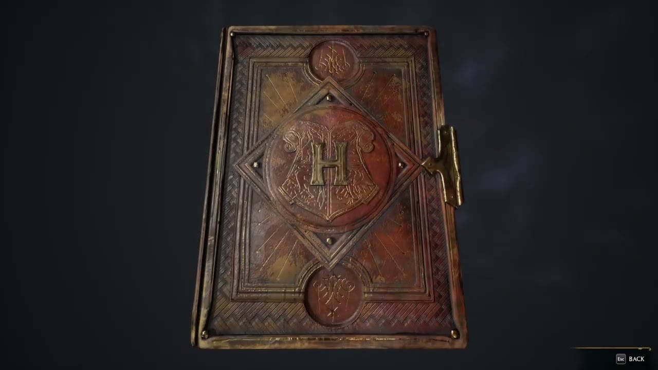 how use save files on hogwart legacy