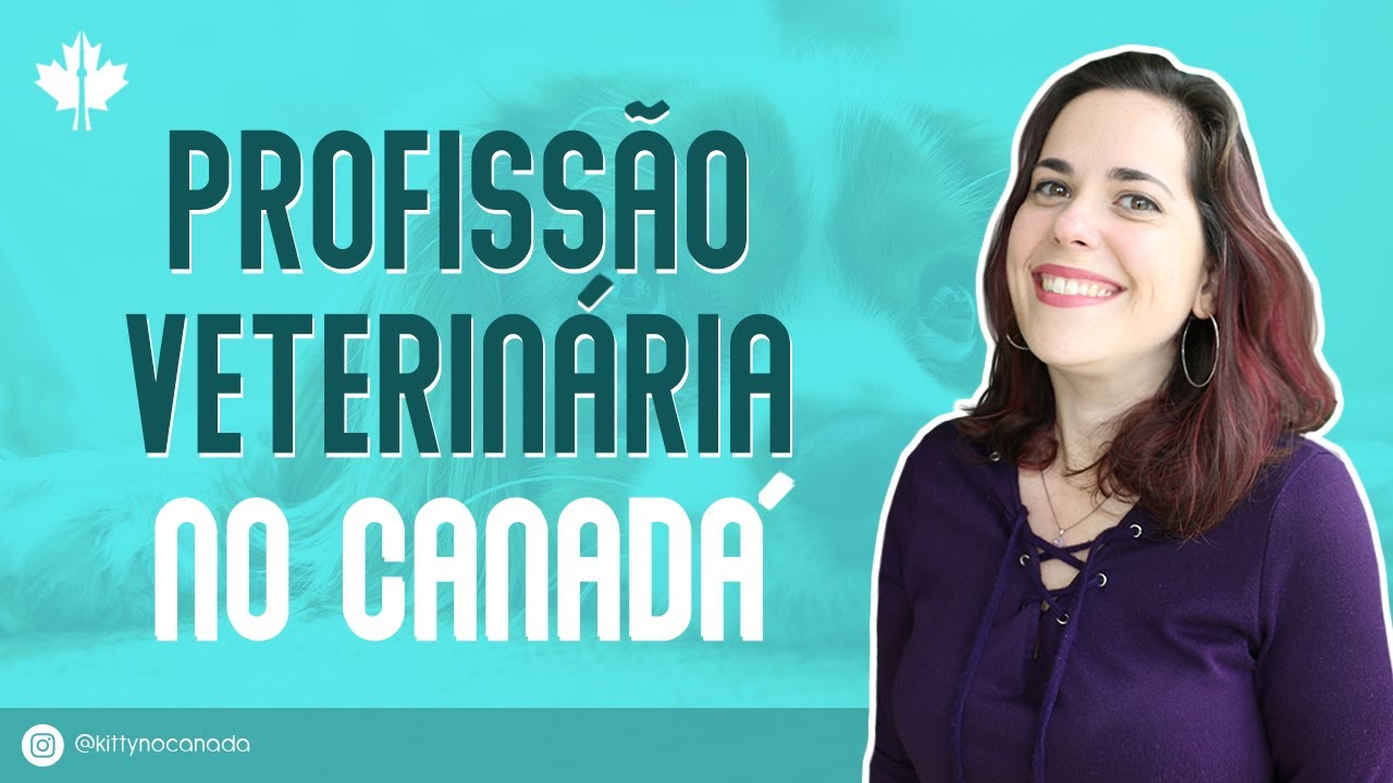 PROFISSÃO DE VETERINÁRIA NO CANADÁ