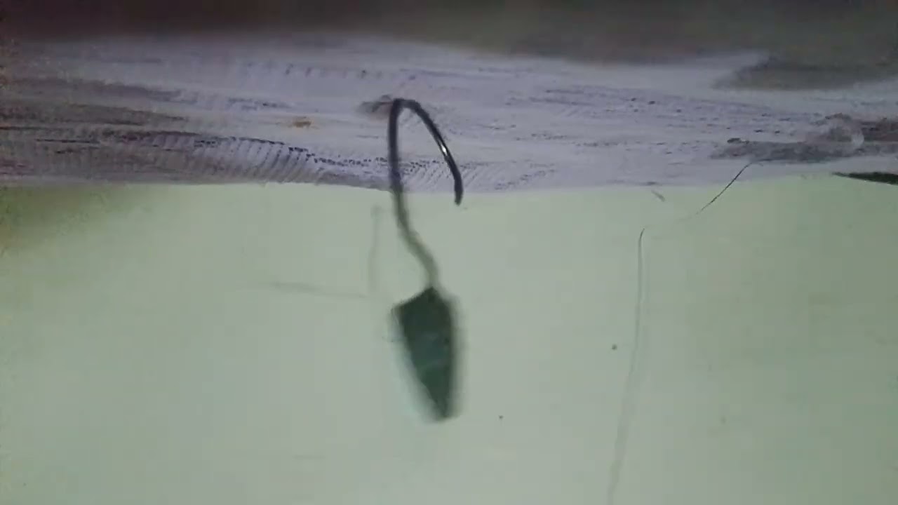 Arreglo Texas de pesca