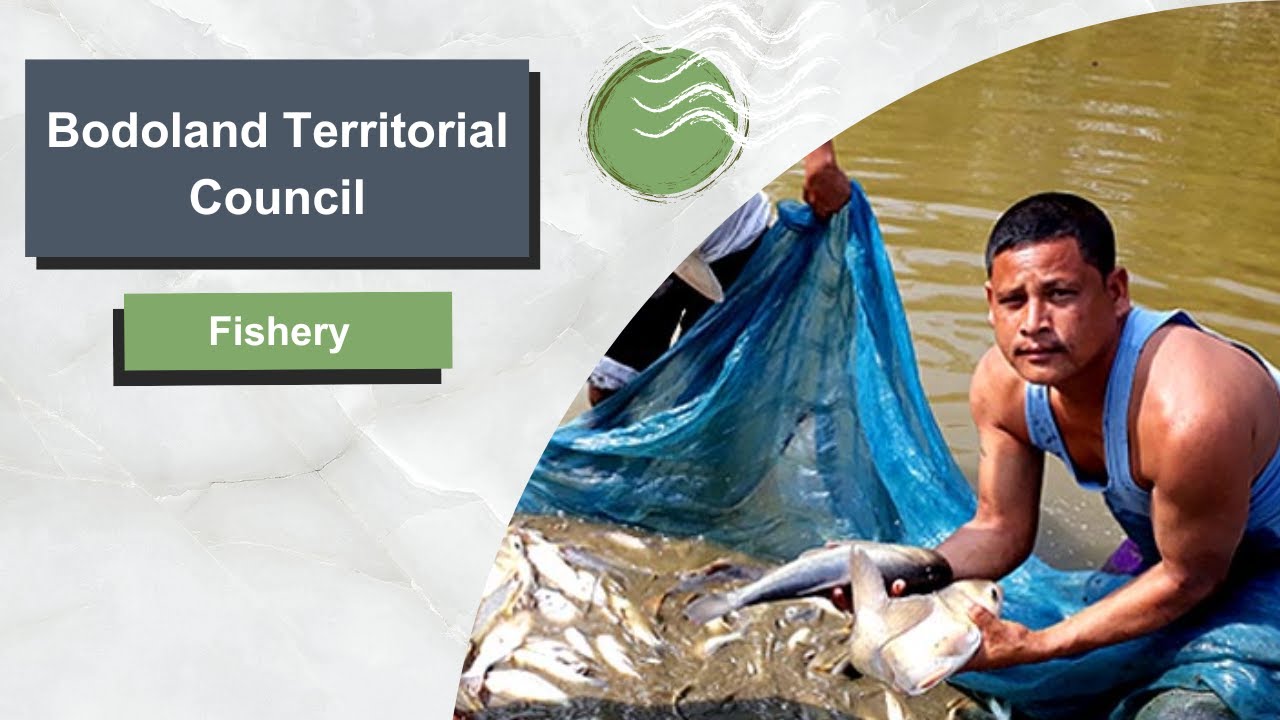 Bodoland Territorial Council- Fishery