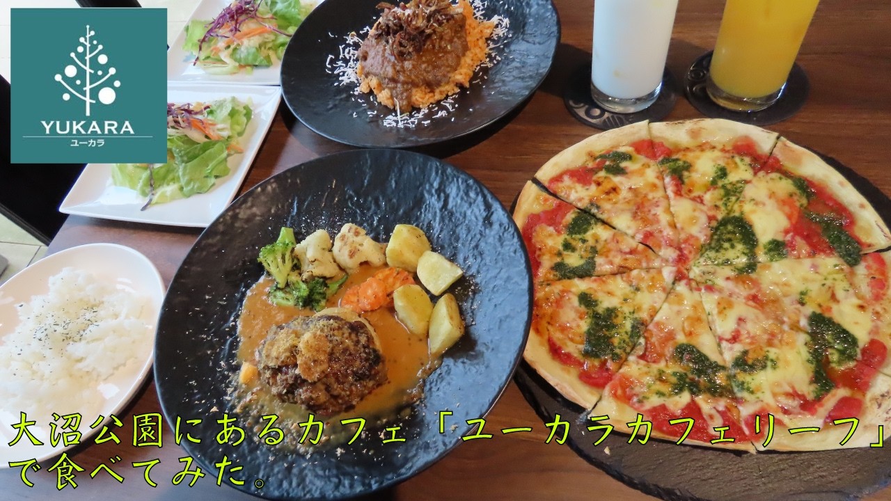 【Food Japan Vlog】大沼公園にあるユーカラカフェリーフで食べてみた。