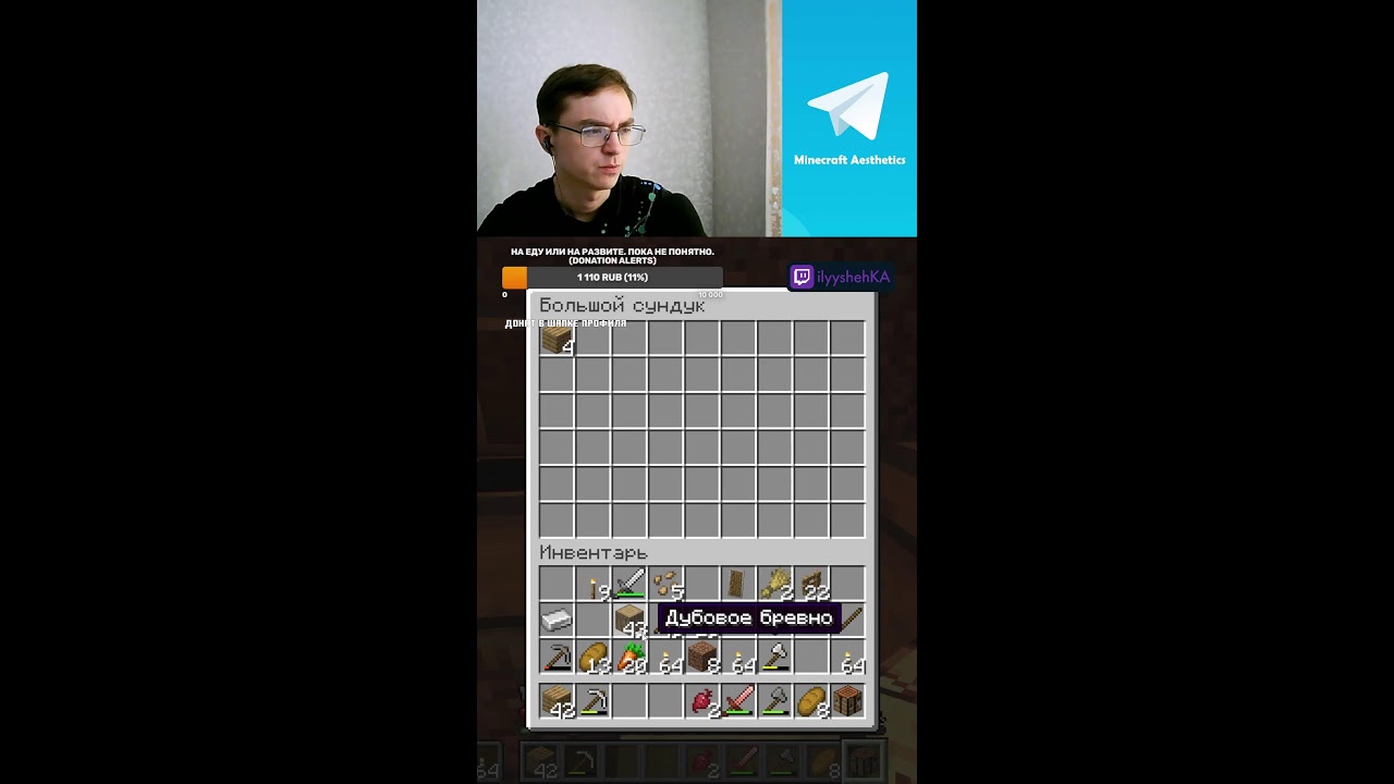 Дизайнер выживает в Minecraft