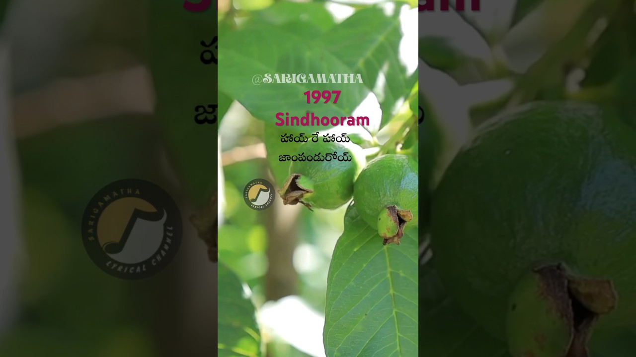 Sindhooram - Hai re Hai #raviteja #sanghavi #sri #chandrabose