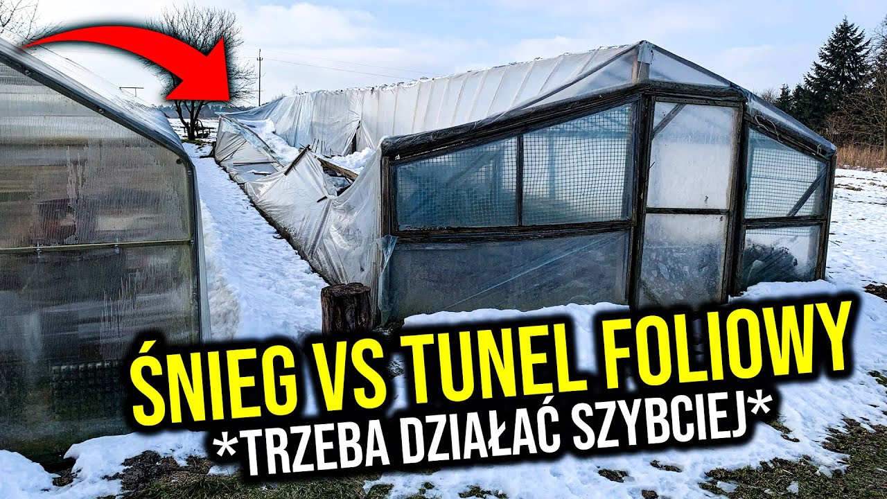 Śnieg VS Tunel Foliowy | Sprawy bieżące u mnie! #VLOG