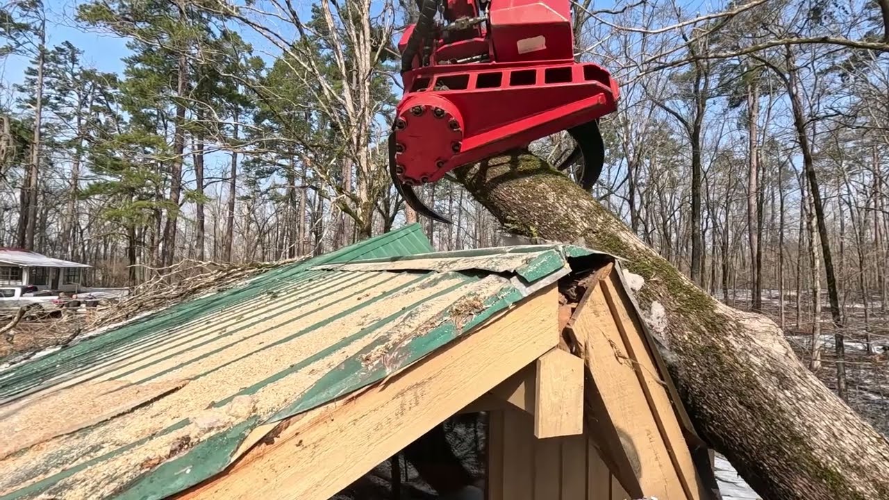 Ice storm crashed this tree into a house