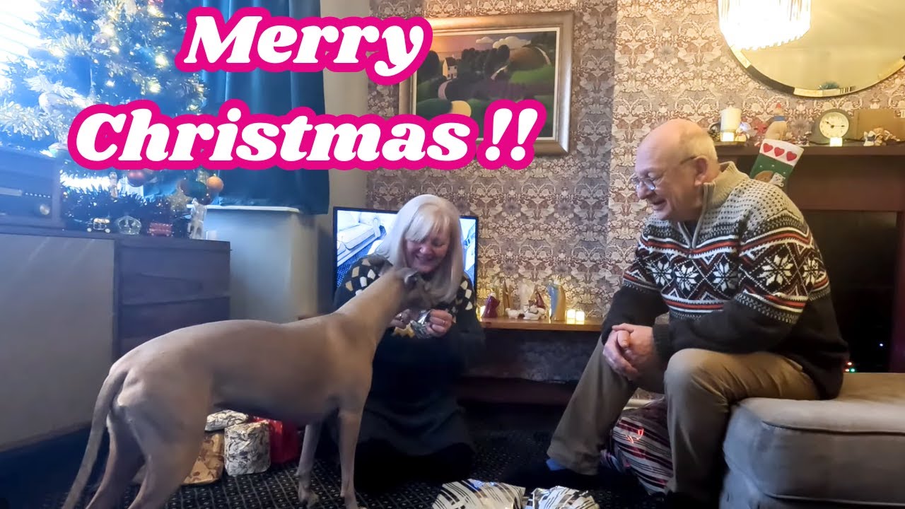 Our Christmas Day 🎄 Cosy Morning, Gifts & A Very Excited Whippet!