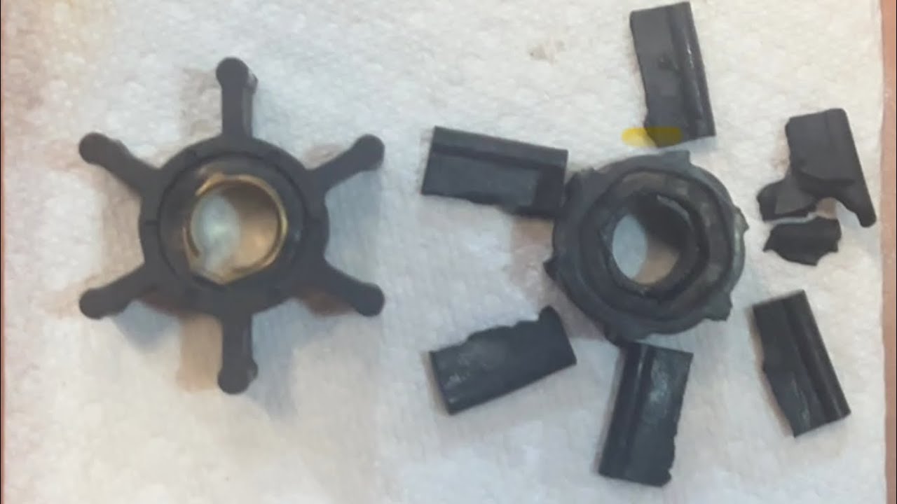 DIY Impeller Replacement on Yanmar 3QM30H Diesel - Episode #51