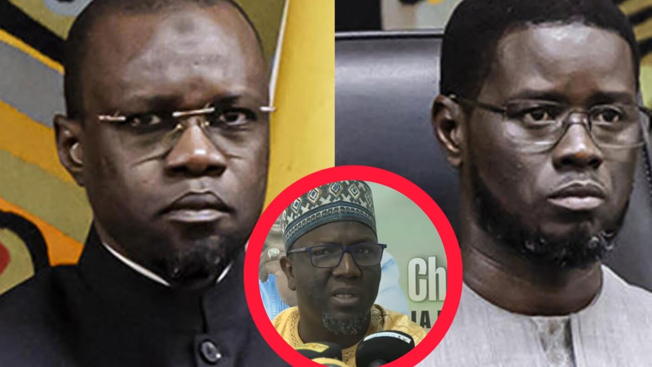 Divorce Diomaye-Sonko, Cheikh Oumar Diagne catégorique: 