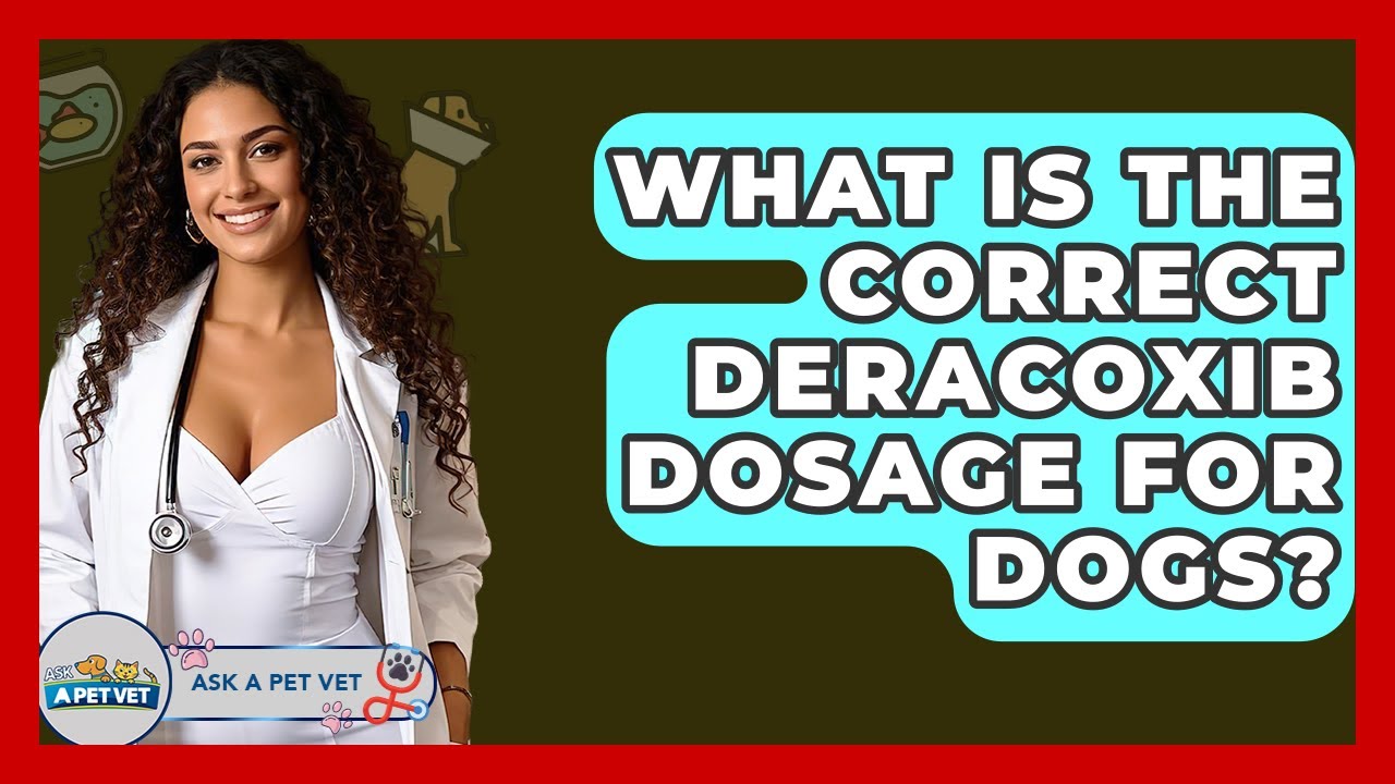 What Is The Correct Deracoxib Dosage For Dogs? - Ask A Pet Vet