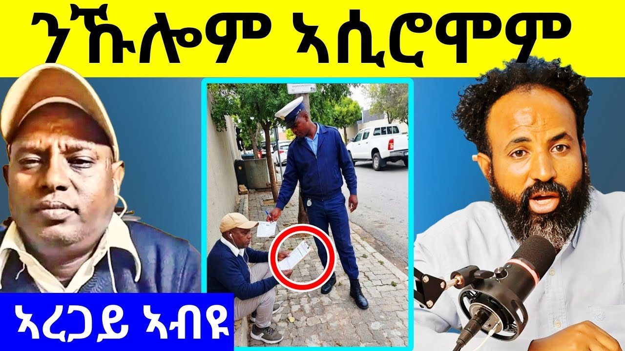 🔥ጉድ ረኣዩ በሉ ኣረጋይ ሕጊ ኣፍሪሱ! ቀንዲ መእሰሪ ሸዊት ዉዳሴ! ኣብ ኤርትራን ትግራይን ዘሎ ሓዱሽ ዛዕባ! #eritrea #tigrignacomedy #xmdo