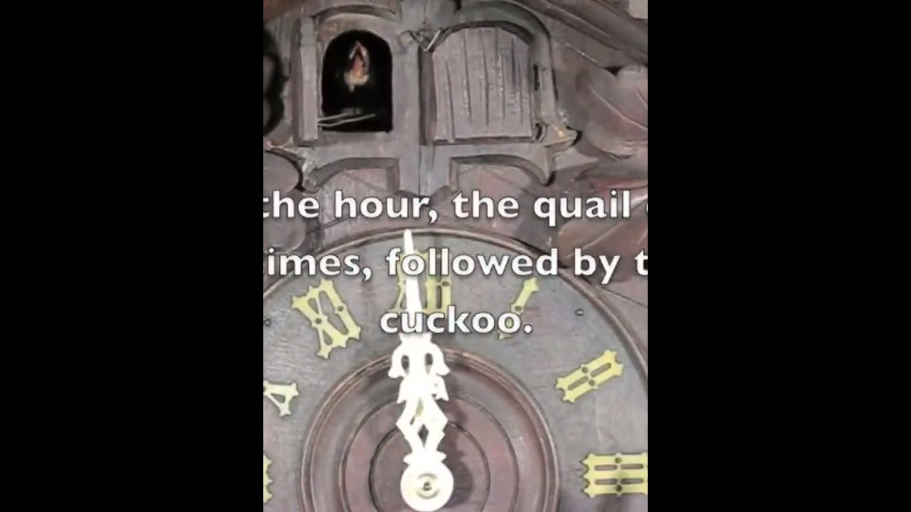 Every quail cuckoo clock chiming 3