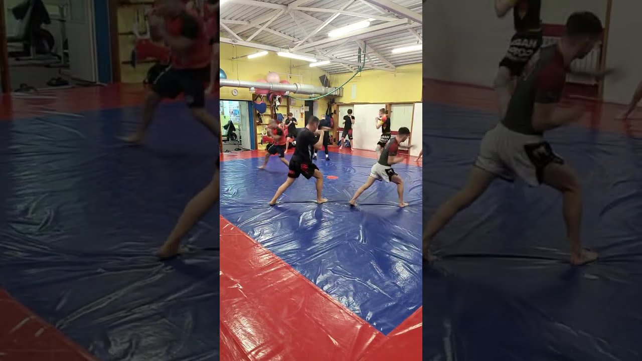 Spar day! MMA