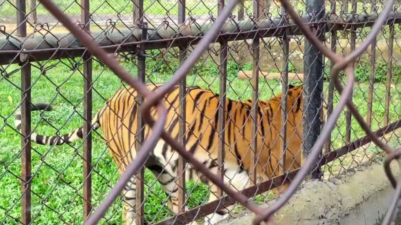 வண்டலூர் உயிரியல் பூங்கா சென்னை