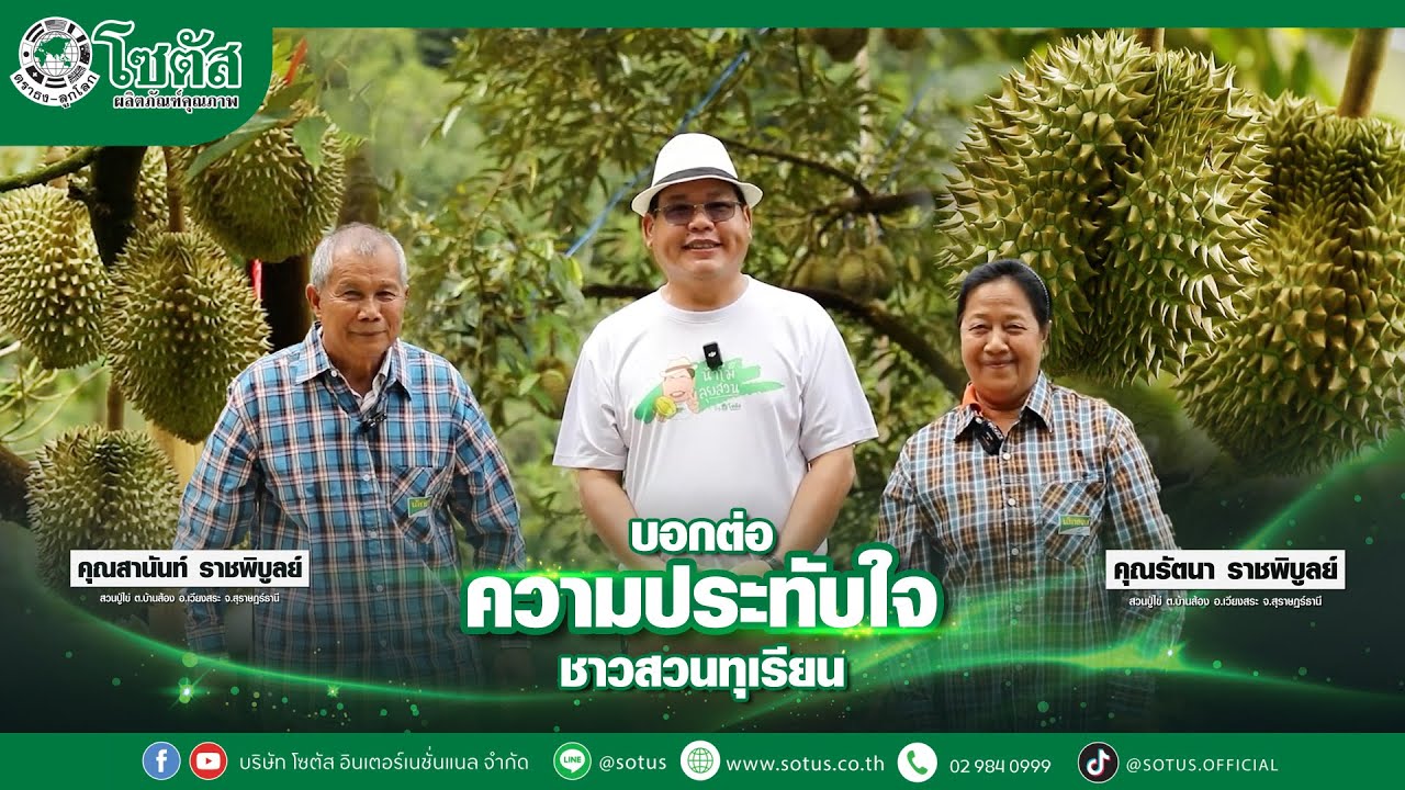 ปลูกทุเรียนบนภูเขาสูง ผลผลิตเต็มต้น ความภาคภูมิใจของชาวสวน จ.สุราษฎร์ธานี