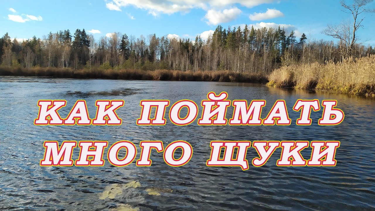 Как поймать много щуки!  ТЕХНИКА ЛОВЛИ ЩУКИ в траве!