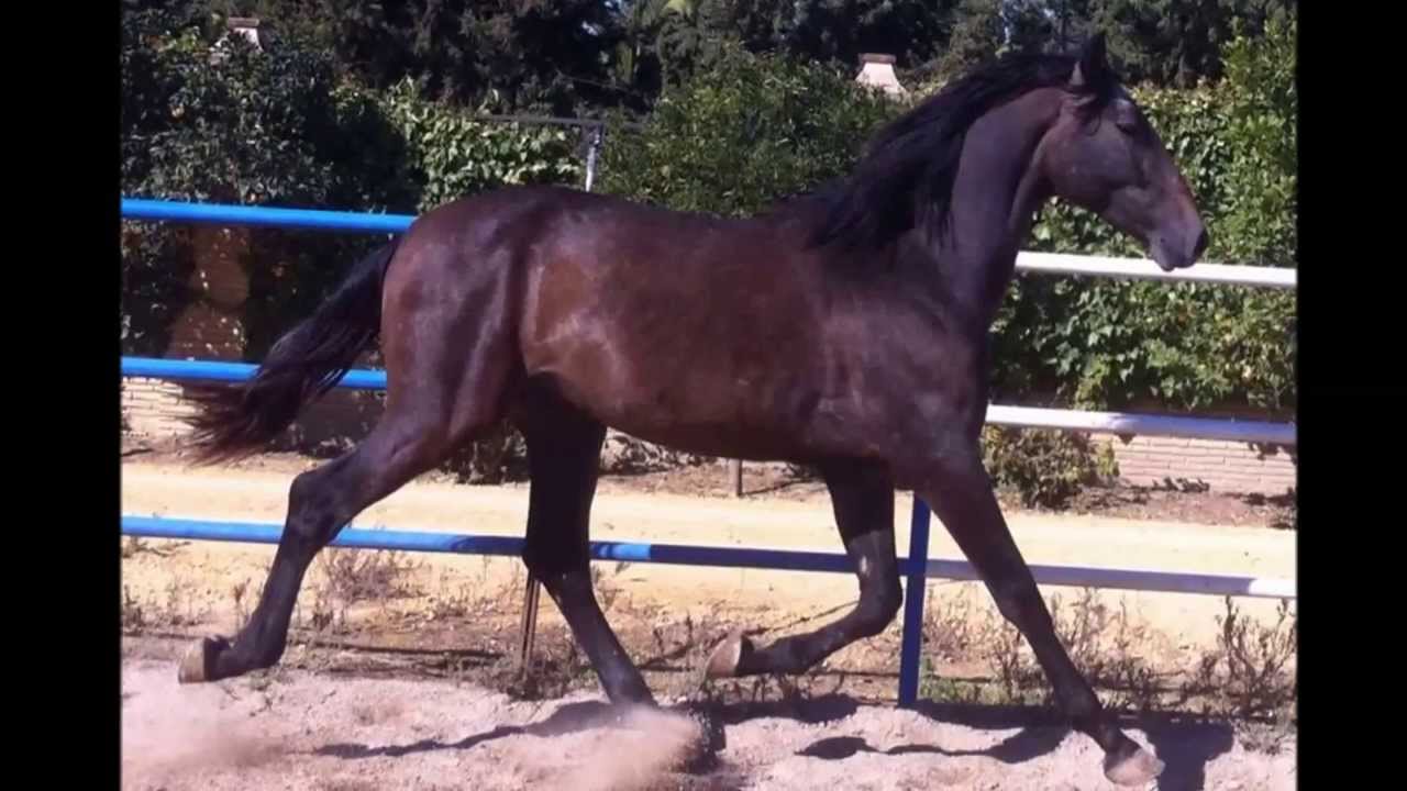 BRIBON MIBXI YEGUADA MILLAN HERCE