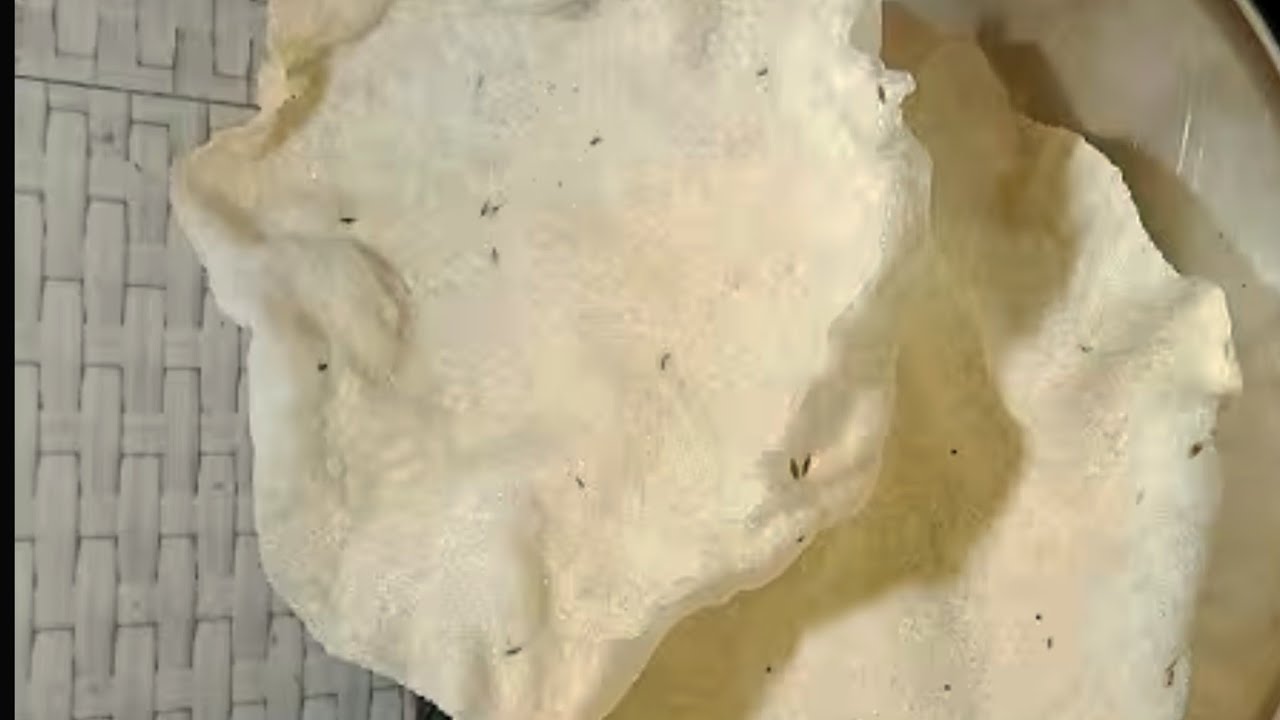  बचे चावल फेकने से पहले जरूर देखे#चावल पापड़ बनाने का तरीका m#rice papad#bache chawal se papad chips