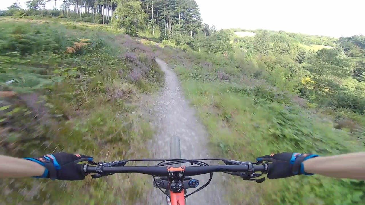 Bodmin Beast MTB trail Cardinham Woods Cornwall